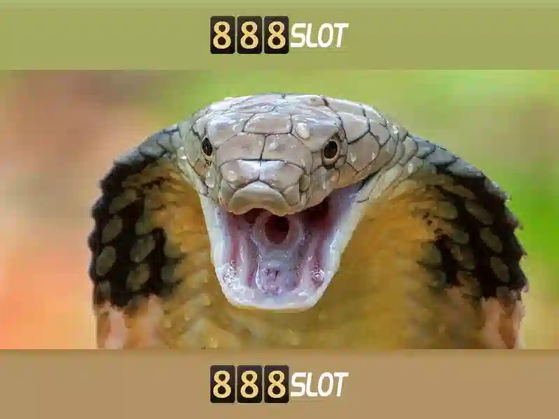 💎slots free slots online💎