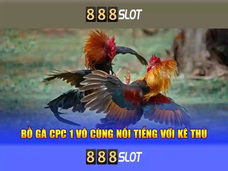  hỗ trợ 24/7 - 888slot