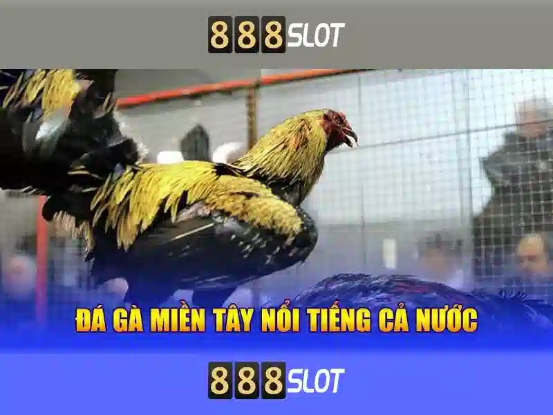 trải nghiệm chơi game - 888slot