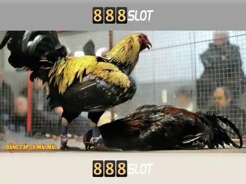 💎bong88 nhà cái💎