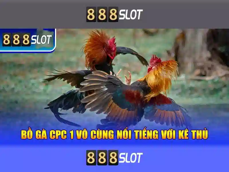 💎cho thuê nhà thành phố lào cai💎