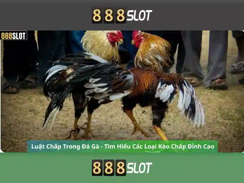 💎lich thi đâu kèo nhà cái💎