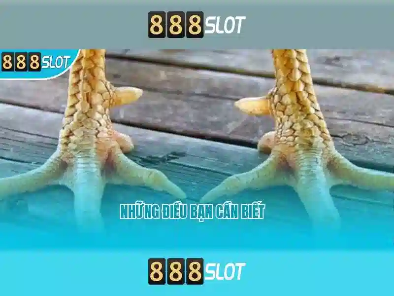 💎kèo nhà cái vleague💎