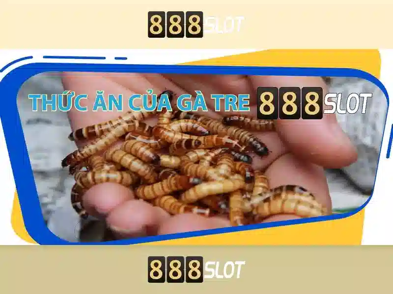 💎xn88 voq33.za.com💎 - xn88 vip - xn88-official