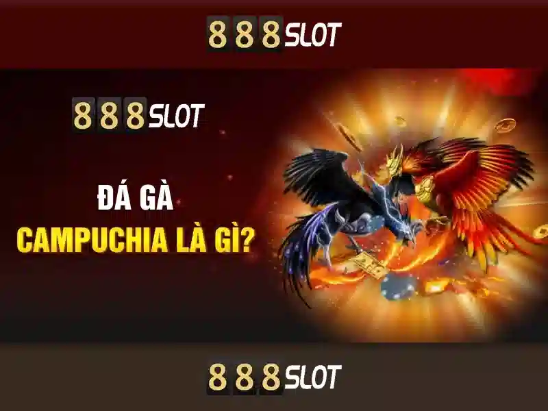 💎cá cược suncity nhà cái💎