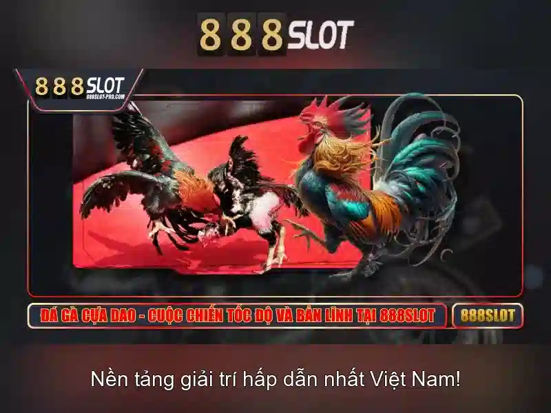 💎cá cược đá bóng trực tuyến💎