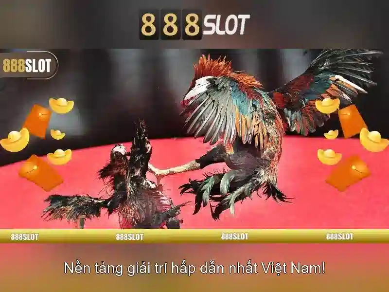 💎tỉ số cá cược💎