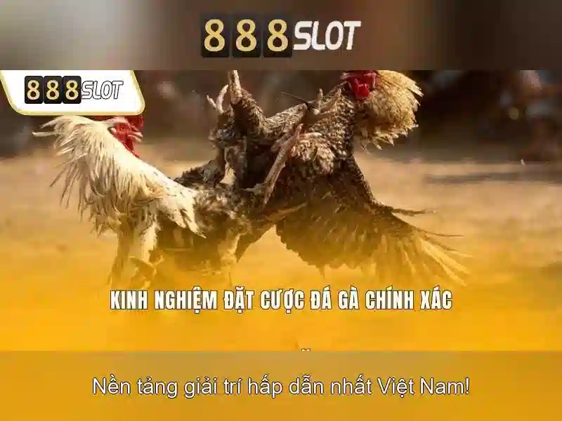 💎nhà cái nhận km💎